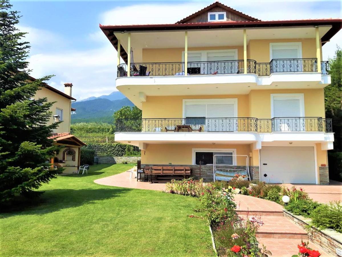 Apartment Achilles Litochoro Exterior photo